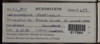 Image Associated With the Occurence